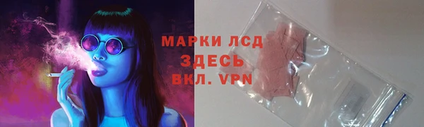 экстази Бородино