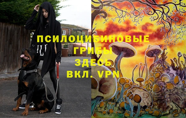 не бодяженный Бугульма